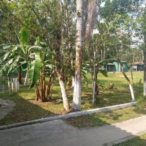Home Full Page